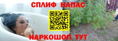 герыч Краснодар