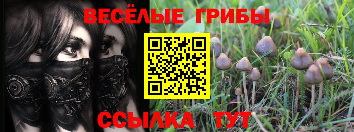 Галлюциногенные грибы ЛСД Егорьевск